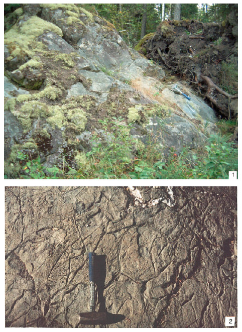Two Photographs, First is Massive coarse grained amphibolite, Second is Amphibolite with possible pillow structure