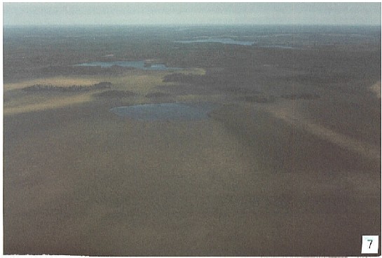 Photograph of View toward the north over Adair Lake Reserve