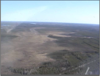 Aerial Photograph of a portion of Adair peatland and surrounding upland forest