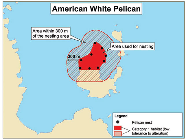 Diagram illustrating a sample application of the habitat regulation for American White Pelican, depicting the habitat categorization described in this document.
