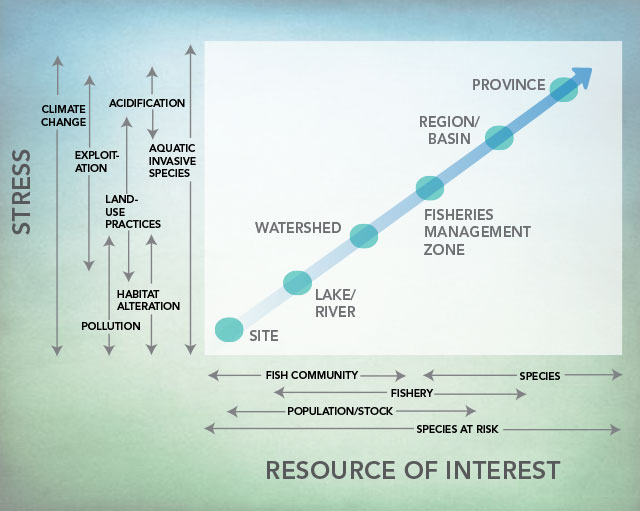 diagram showing the interaction of resources and stresses on landscapes.