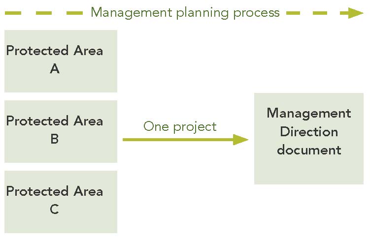 infographic depicting the relationship between protected areas, project groupings and developing a single management direction document