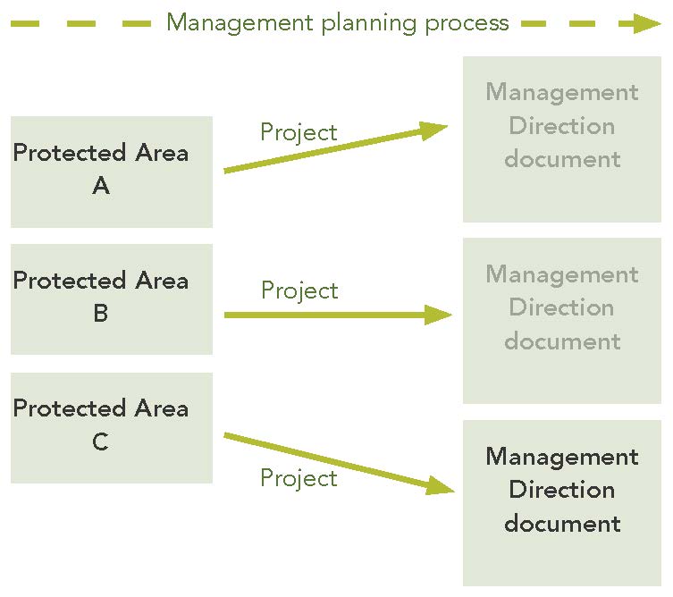 inforgraphic depicting the relationship between protected areas, project groupings and developing multiple management direction documents
