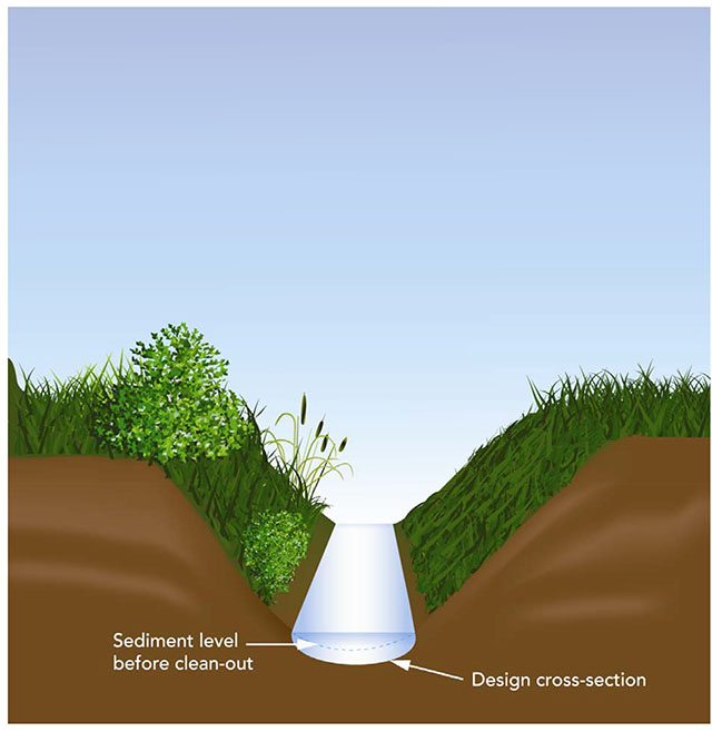 Image showing a drain with the bottom cleaned out
