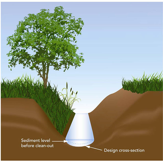 Image showing a drain with the bottom cleaned and one bank with brush