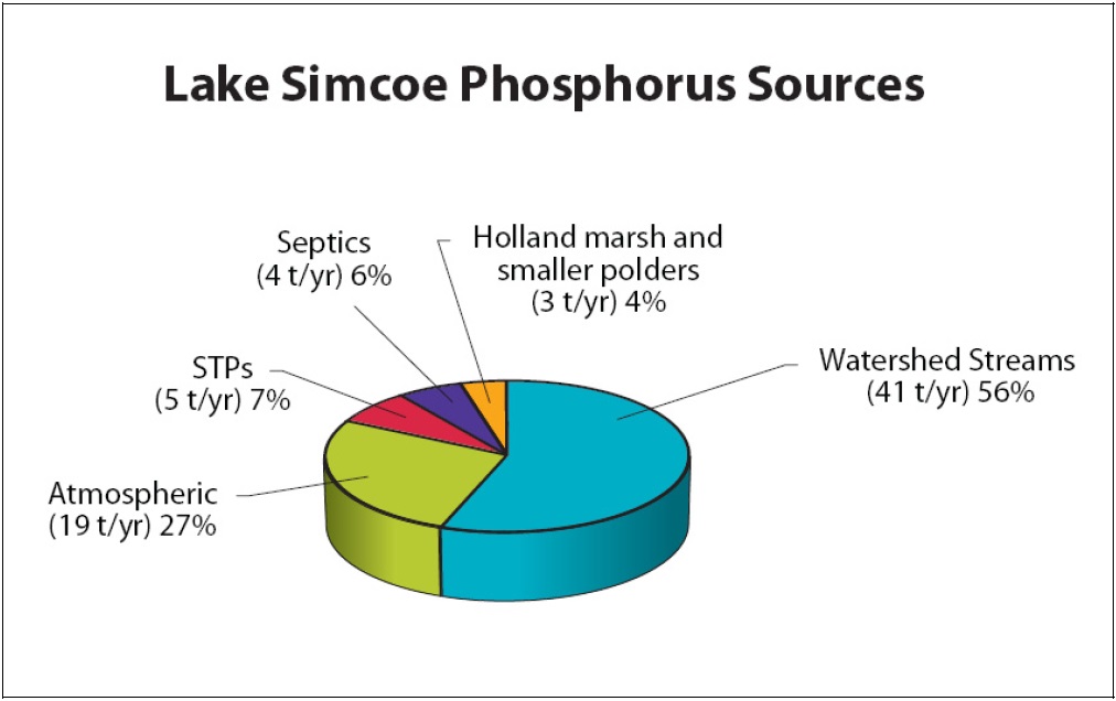 This pie chart shows the relative contribution of the primary contributing sectors to Phosphorus loading in the Lake Simcoe watershed. Watershed Streams contribute 41 tonnes per year or 56%, Atmospheric Deposition at 19 tonnes per year or 27%, Sewage Treatment Plants at 5 tonnes per year or 7%, Septics at 4 tonnes per year or 6%, and the Holland Marsh and smaller polders at 3 tonnes per year or 4%.
