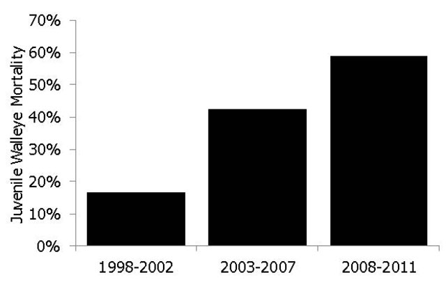chart of juvenile walleye mortality from 1998 to 2011.