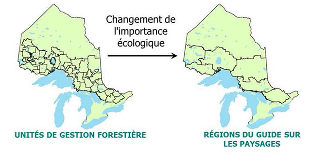 image en couleur de la changement de l’importance écologique des unités de gestion forestière vers les régions de guide de paysage.