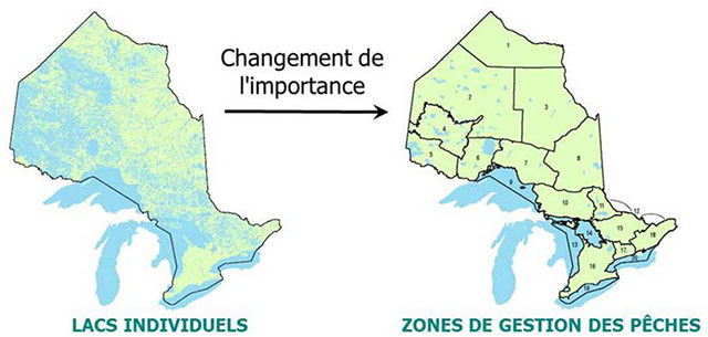 diagramme de couleur de le changement de l’importance des lacs individuels vers les zones de gestion des pêches.