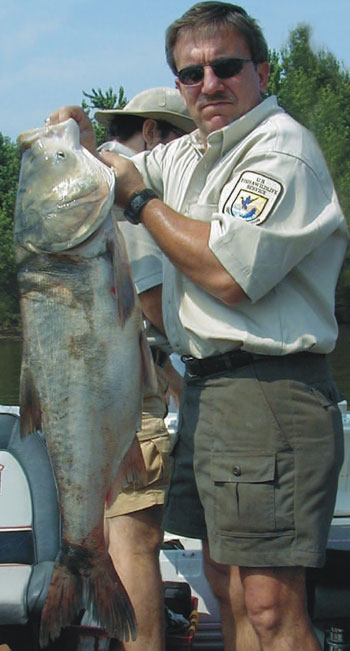 une photo d’un agent du Service de la pêche et de la faune des États-Unis montre une carpe à grosse tête de la rivière Illinois.
