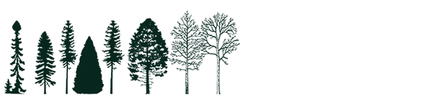 Typical tree species of Boreal forest region