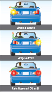  (1) un conducteur ayant allumé son clignotant gauche et faisant un signal manuel indiquant un virage à gauche - le bras gauche à l'horizontale (2) un conducteur ayant allumé son clignotant droit et faisant un signal manuel indiquant un virage à droite - le bras gauche à l'horizontale et l'avant-bras à la verticale pointant vers le haut (3) un conducteur qui freine et qui fait un signal manuel indiquant qu'il ralentit ou qu'il s'arrête - le bras gauche à l'horizontale et l'avant-bras à la verticale pointant vers le bas