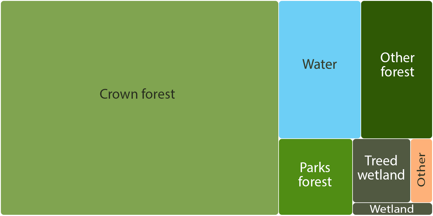 Comparing relative size of Ontario's land categories of forest, wetland, water and other.