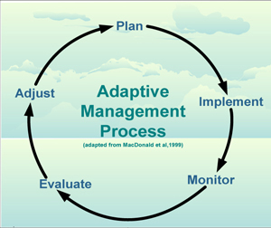 Image of the adaptive management process in a repeating circular pattern moving from plan to implement to monitor to evaluate to adjust and beginning once again with plan 