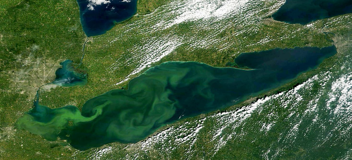 Image satellite d’une prolifération d’algues dans le lac Érié le 6 septembre 2015.