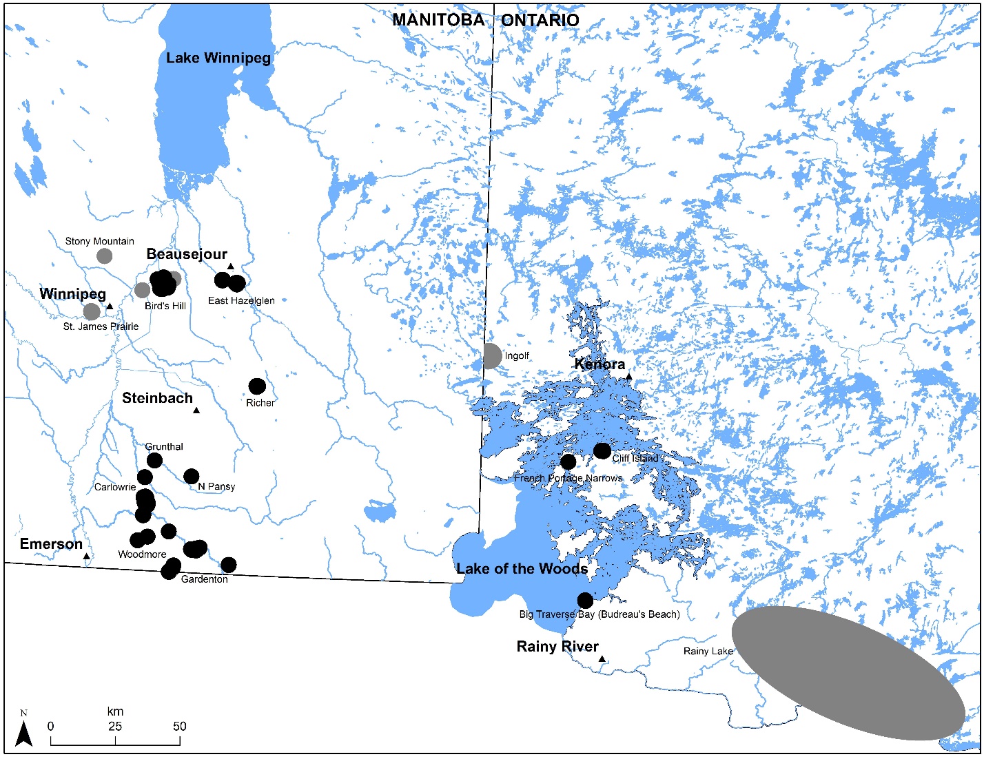 Figure 3. Current range (spatial distribution) of Western Silvery Aster in Canada.