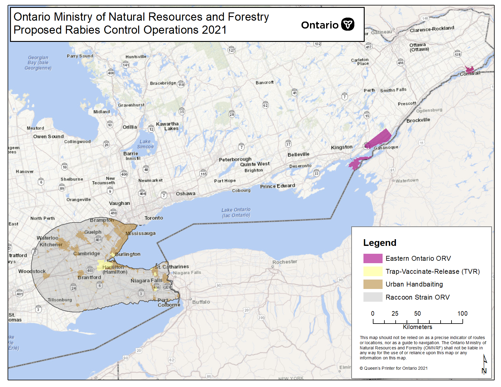 Bat with rabies found in high park, rabies risk? r/askTO