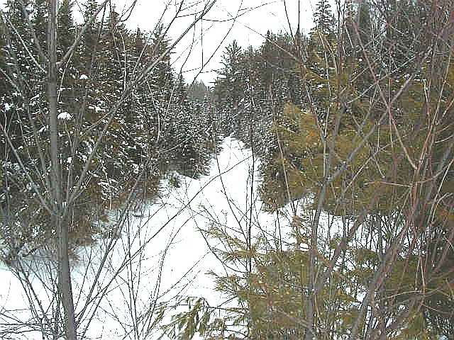 Photo of Winter photograph of Boom Creek, the eastern border of the conservation reserve