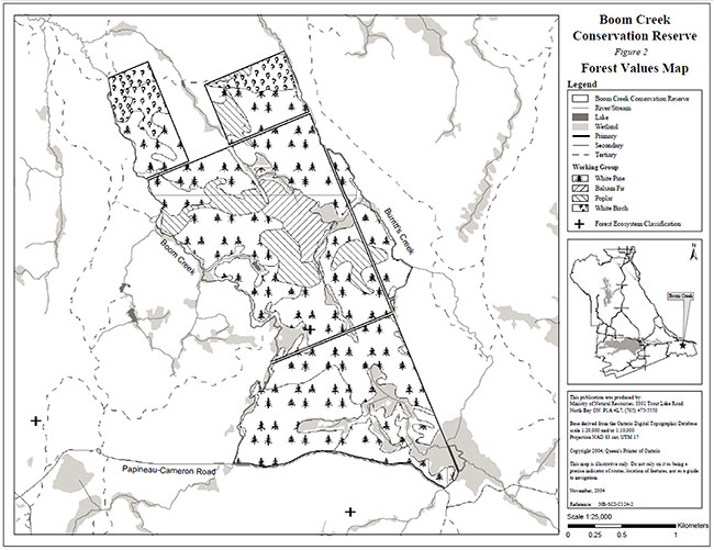 Boom Creek Conservation Reserve Forest Values Map