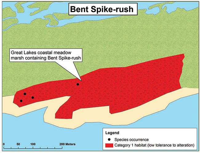 Diagram illustrating a sample application of the habitat regulation for Bent Spike-rush, depicting the habitat categorization described in this document.