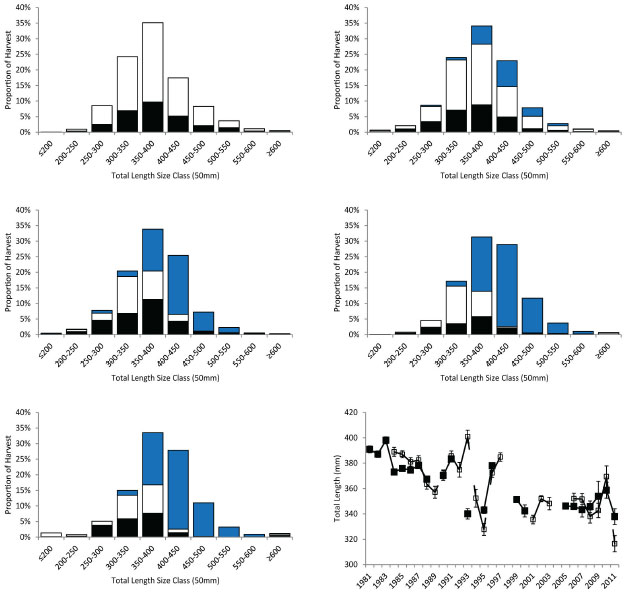 Size distribution of Walleye harvested by angling or commercial gill nets by decade. Filled black bars are the fish samples from the winter
recreational fishery. Open black bars are the fish samples from the open water recreational fishery. The filled blue bars are the fish samples from the Nipissing First Nation commercial fishery. Bottom right panel average size of Walleye harvested with error bars (± 1 standard error). Filled black symbols connected by solid black line are data from the winter angler survey. Open black symbols connected by dashed black line are data from the open water angler survey.