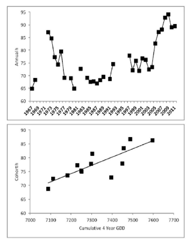 Annual (1967 to 2011) and cohort (1996 to 2008) Walleye pre-maturation growth rate (millimetres per year). Annual estimates are in the upper panel. Relationship between cohort thermal history (4 growing seasons GDD) and cohort pre-maturation growth (millimetres per year) from 1998 to 2011 fall index gill net surveys is in lower panel (Fit line: Y = 0.0298X - 140.5038, R2 = 0.69, p < 0.01).