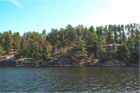Shoreline of Rainy Lake, Hangingstone Point, Brown’s Inlet Conservation Reserve