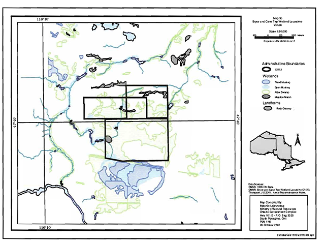 A map of the administrative boundaries, wetlands, and landforms of the Bryce and Cane Township Wetland Lacustrine values
