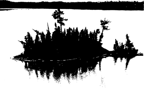 Image showing small island with low-water exposure