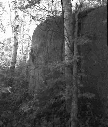 Thi sphoto shows the image of Rock face along trail Into Crockford’s Marsh