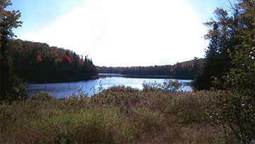 This photo shows the image of Bailey Lake surrounded by trees.