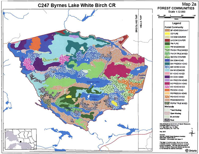 Thi sphoto shows the map of Forest Communities in Byrnes Lake White Birch Conservation Reserve