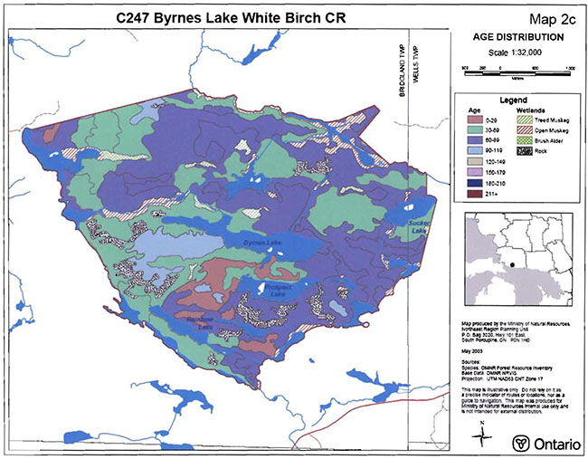 This photo shows the detailed map of Age Distribution of Tree Stands in Byrnes Lake White Birch Conservation Reserve
