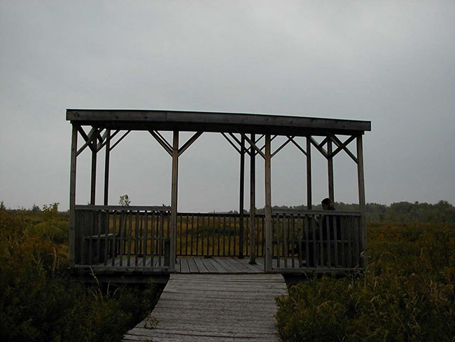 this photo shows the image of Sturgeon River House Museum Trail lookout over the fen portion of the conservation reserve.