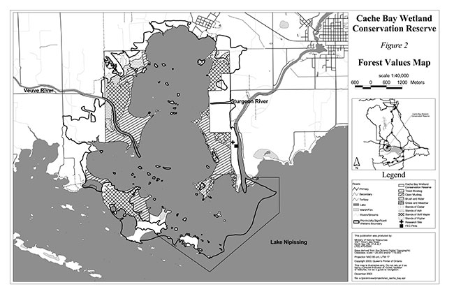map of Cache Bay Wetland Conservation Reserve Forest Values Map.