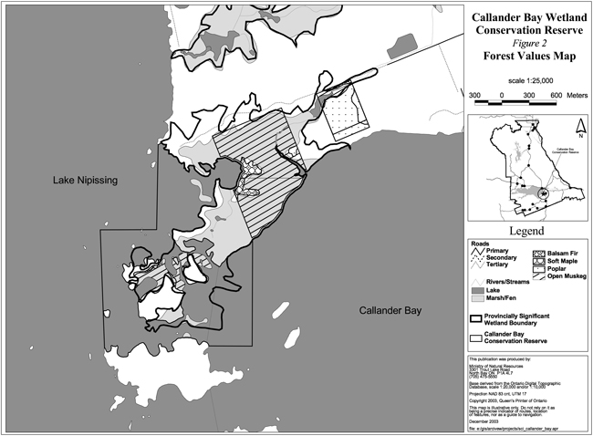 Callander Bay Wetland Conservation Reserve Forest Values Map