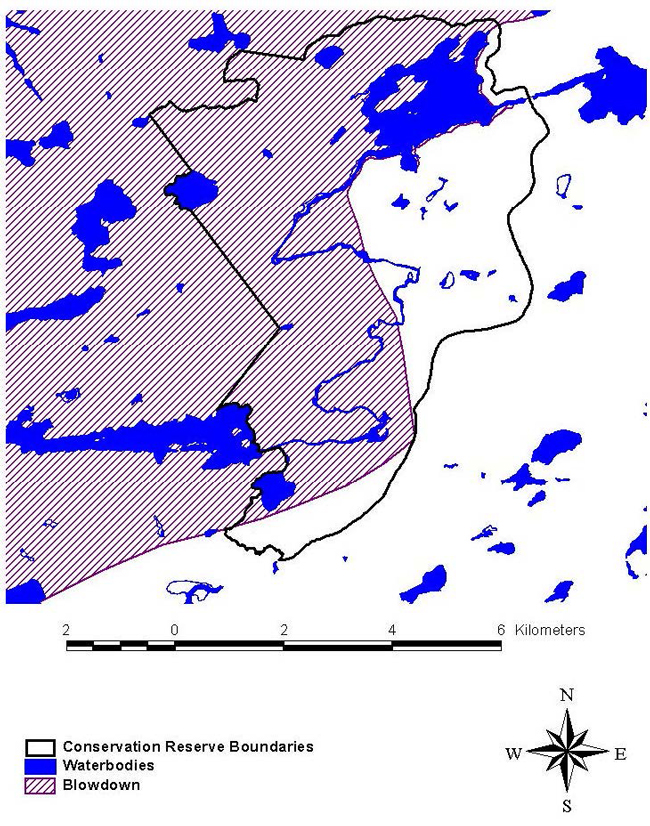 Map showing areas within Campfire River Conservation Reserve subject to the 1991 blow down.