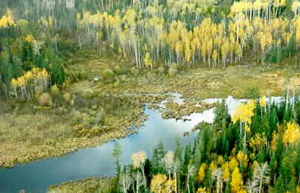 Photo of a diverse representation of lacustrine, palustrine, and riverine (as shown in photograph) wetlands exists within the reserve.