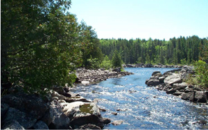 Picture showing shallow rapids on the Turtle River at the inflow to Elsie Lake.