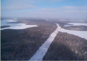 Picture showing hydro transmission corridor through the conservation reserve (Elsie Lake on the left, Campus Lake on the right).