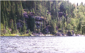 Picture showing bedrock cliff on Halfmoon Lake.