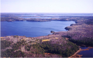 Picture showing mixed wood forest of the conservation reserve, looking southeast across Elsie Lake towards Mable and Sandford Lakes.