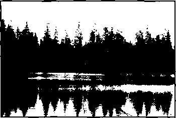 Black and white photo of Northeast Lake and surrounding trees.