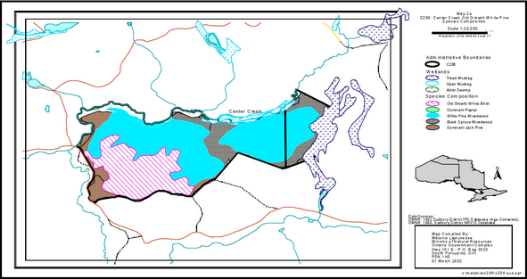 Colour line map depicts administrative boundaries with a thick black line. Treed muskeg wetlands are depicted with dark blue dot shading. Open Muskeg is depicted with turquoise dotted blue shading. Alder swamp is depicted with green dotted shading. Old growth white birch is indicated with bright pink line shading, white pine mixedwood is depicted with light blue shading. black spruce mixedwood is grey with white dots and dominant Jack pine is depicted with brown.