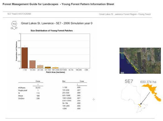 Young forest patch size indicator report from Ontario’s Landscape Tool.