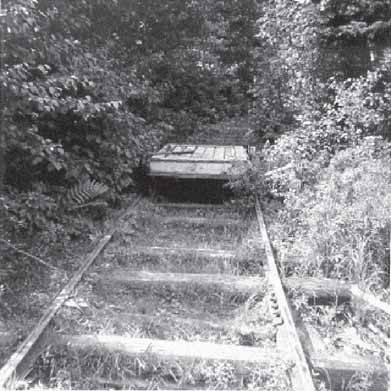Figure 5: Cultural heritage landscapes are generally found above ground, such as this marine railway near Chapleau, Ontario. It was built in anticipation for a moose hunt as part of the 1919 Royal Visit. 