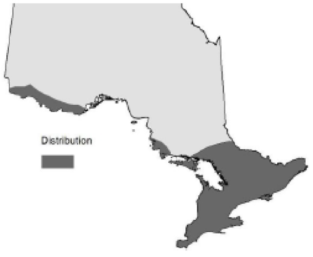 Map of Ontario showing the relative occurence of Basswood.