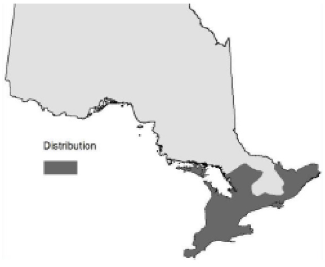 Map of Ontario showing the relative occurence of black cherry.