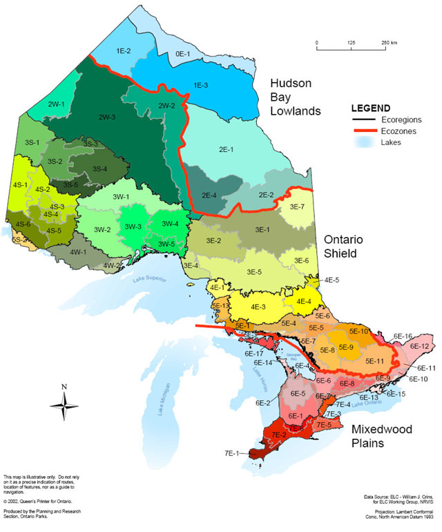 Map of Ontario showing ecoregions, and ecodistricts. Hudson Bay Lowlands, the Ontario Shield and Mixedwood Plains areas are also labelled on the map.