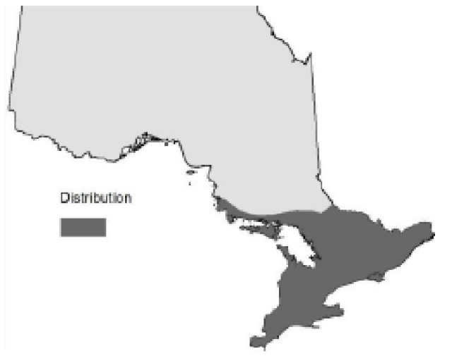 Map of Ontario showing the relative occurence of White ash.